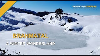 Brahmatal Trek A Winter Wonderland❄️  Trekking Compass [upl. by Wendye]