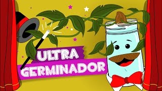 ¡Crea tu propio germinador de semillas Experimento casero [upl. by Happy]