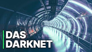 Das Darknet  Illegale Aktivitäten  Doku HD [upl. by Ennahtebazile]