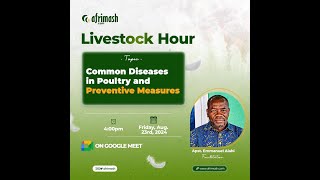 Common Diseases in Poultry and Preventive Measures [upl. by Rodie673]