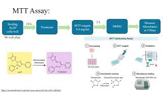 MTT assay  Protocol principle and troubleshooting  DETAILED EXPLANATION [upl. by Dhiren345]