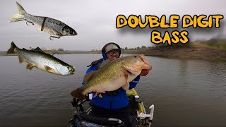 Searching for a 10lb BassThrowing Big Swimbaits [upl. by Olivette]