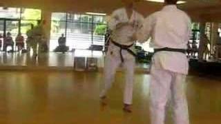 Uechi Ryu Yakusoku Kumite 110 [upl. by Sulohcin]