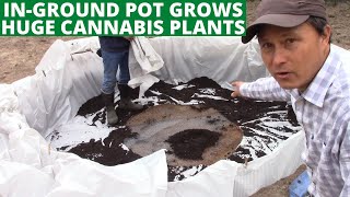 How to Build an InGround Pot to Grow Huge Cannabis Plants [upl. by Roeser]