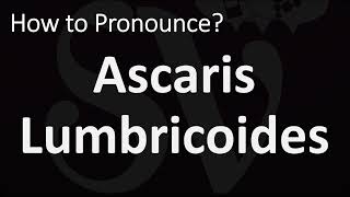 How to Pronounce Ascaris Lumbricoides CORRECTLY [upl. by Notxap]