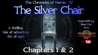 The Chronicles of Narnia  Book 4  The Silver Chair  Chapters 1 amp 2  LIVE reading by Huw Carr [upl. by Enirhtak788]