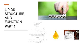 Lipids Structure and Function Lecture Part 1 [upl. by Esimaj]