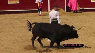 VALENCIA FINAL RECORTADOR DE ORO 2017 DANY ALONSO Y SERGIO SARRIÓN [upl. by Sherrer528]