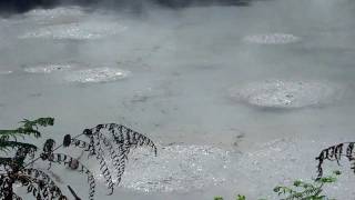 Mud Pot in WaiOTapu Thermal Wonderland [upl. by Enelyak894]