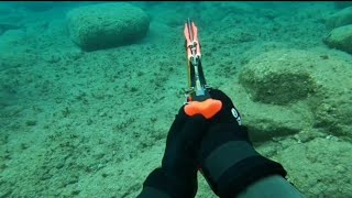 Zıpkınla balık avı Spearfishing Yırtanlarıskalaryaralılar [upl. by Yzdnil]