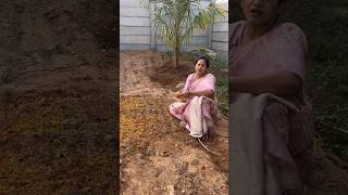 మన ల్యాండ్ లో బంతినారు చల్లినా😊 youtubeshorts shorts farmland farming subscribemychannel [upl. by Sperry]