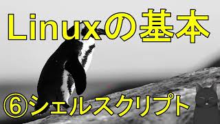 【丁寧に学ぶLinux入門】 ⑥シェルスクリプト（shファイル） [upl. by Enoek940]