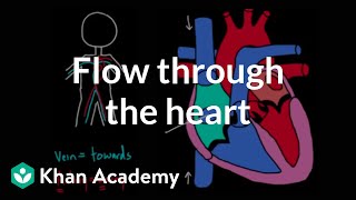 Flow through the heart  Circulatory system physiology  NCLEXRN  Khan Academy [upl. by Huoh]