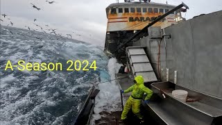 Baranof Slaying Cod 2024 [upl. by Surdna]