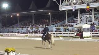 James Koford Adiah HP Freestyle Dressage at Devon 9292018 [upl. by Shari]