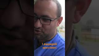 I pappagalli spacciatori perte neiperte [upl. by Canning476]