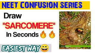 How To Draw quotSARCOMEREquot In Seconds🔥🔥 All Confusion Clear✌️ Neet Confusion Series😎 Neet 2021 [upl. by Nilrev158]