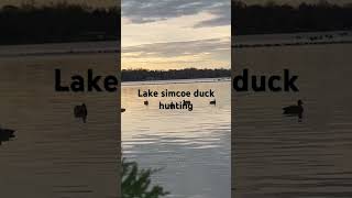 Lake simcoe Ontario duck hunting duckhunting duckhuntinglakeontario2024 lakesimcoehunting [upl. by Terrab]