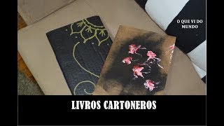 Livros cartoneros [upl. by Vachell147]