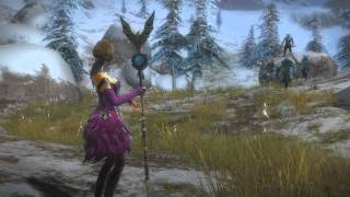 Guild Wars 2  Mesmer Skills [upl. by Hailey295]