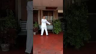 Tai Chi 18 Movement Shibashi Qigong Set 1 [upl. by Kampmann]