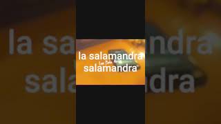 LA SALAMANDRA—trueno—letra [upl. by Morgan777]