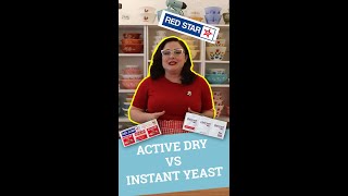 Yeast 101 Active Dry vs Instant Yeast [upl. by Brynna]