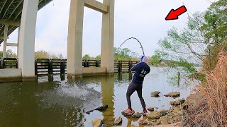 Walked Under a Giant Bridge and Caught Dinner Catch Clean Cook [upl. by Githens]