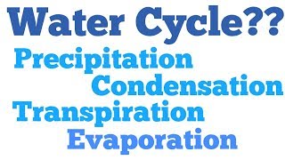 WATER CYCLE Evaporation Transpiration Condensation Science CBSE NCERT [upl. by Schwartz]