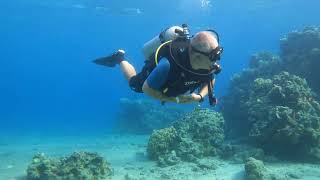 Eilat  111124  diving near border [upl. by Nnyl272]