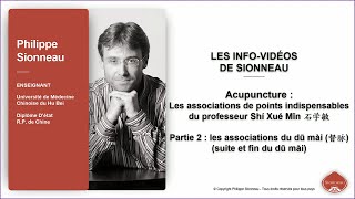 Acupuncture  Les associations de points indispensables du professeur Shí Xué Mǐn 石学敏  Partie 2 [upl. by Kirima]