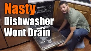 Easy Fix For Dishwasher That Wont Drain  THE HANDYMAN [upl. by Francisco]