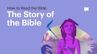 The Story of the Bible • What Its About From Beginning to End [upl. by Poppo]