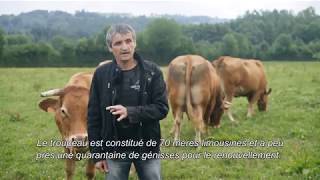 Plaisirs Fermiers  La ferme de Saint Marc Producteurs de Boeuf [upl. by Zuzana]