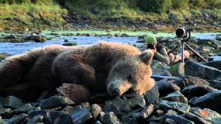 David Bittner amp the Bears  Sony Alpha Cameras promo [upl. by Ardnahs]