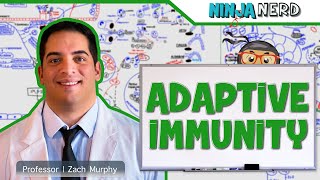 Immunology  Adaptive Immunity [upl. by Ykcin]