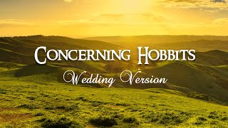 Concerning Hobbits Wedding Version  Piano Cover by Paul Hankinson [upl. by Rolo]