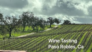 Wine Tasting in Paso Robles Ca [upl. by Aiuqenehs482]