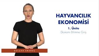 HAYVANCILIK EKONOMİSİ  Ünite1 Özet [upl. by Aggri848]