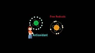 phytosterols polyphenols palmoil antiinflammatory antioxidant youngelaisambassador cpopc [upl. by Selimah]