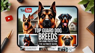 Top Guard Dog Breeds for Home Protection The Ultimate Guide [upl. by Kimura]