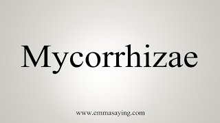 How To Say Mycorrhizae [upl. by Laverna642]