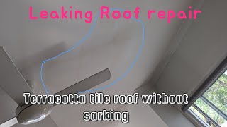 Roof leak inspection and successfully repair leaking tile roof  saving thousands of dollars [upl. by Eeldivad]