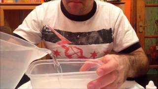 how to hatch killifish  part 1 [upl. by Trip]