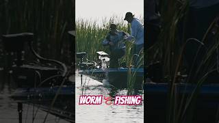 Worm 🪱 Fishing Lake Okeechobee MLF Toyota Series shorts floridafishing fishing [upl. by Dimitry]