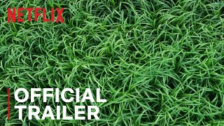 In the Tall Grass  Official Trailer  Netflix [upl. by Htabmas]