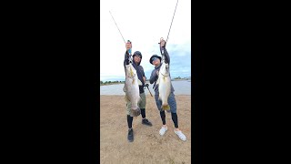 Singapore Anglers Topwater Barramundi Fishing Thailand 2024 BBKGUY [upl. by Cordelia]