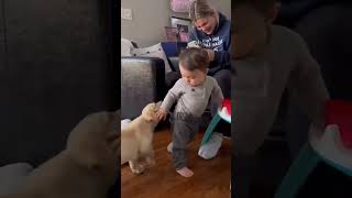 What Are You Doing Doggy  Baby Video Baby Funny Video  Small baby Cute Video  Videos [upl. by Annabel]