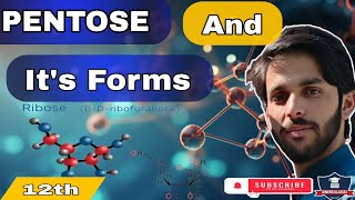 PENTOSES  structure of Ribose and Ribulose  biomolecule biology ribose [upl. by Irene694]