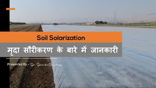 Soil solarization method and advantages  मृदा सौरीकरण के फायदे doctoragriculture [upl. by Aipotu]